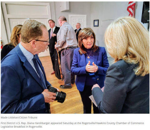 Diana - by Wade Littleton